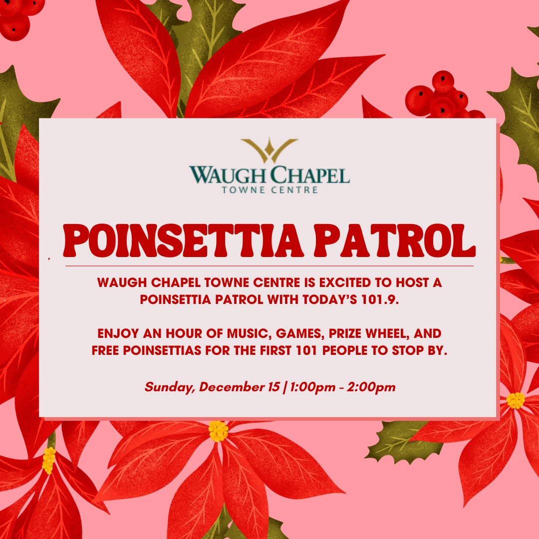 Poinsettia patrol with todays 101 9 free poinsettias for the first